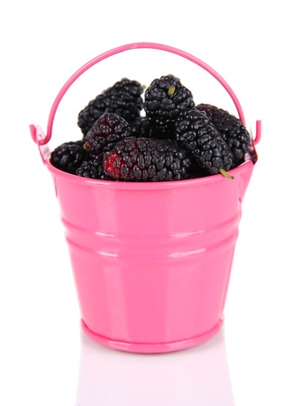 Ripe mulberries in bucket isolated on whiteの写真素材