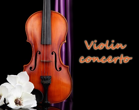 Classical violin on black background