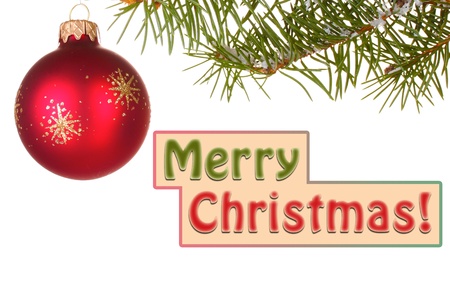 Christmas ball on the tree on white backgroundの写真素材