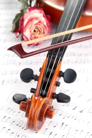 Classical violin  with dry rose on notesの写真素材