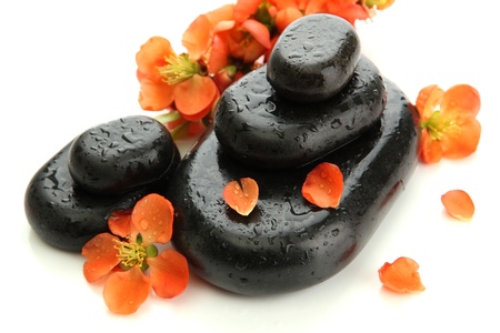Spa stones and flowers isolated on whiteの写真素材