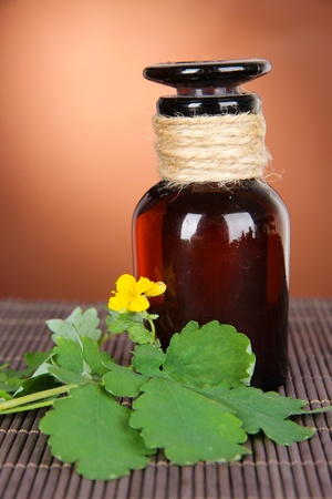 Blooming Celandine with medicine bottles on table on brown backgroundの写真素材