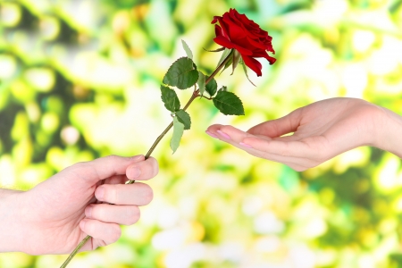 Man's hand giving a rose on bright backgroundの写真素材