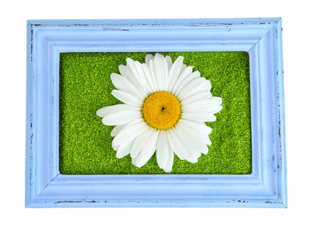 Picture of colored decorative sand with flowers isolated on whiteの写真素材
