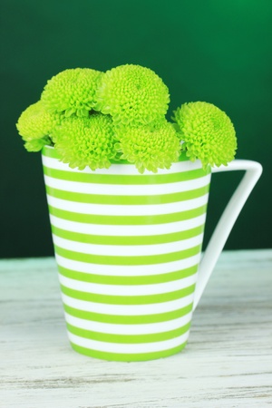 Beautiful green chrysanthemum in cup on table on dark green backgroundの写真素材