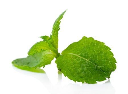 Fresh mint leaves isolated on white
