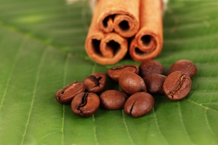Coffee grains and cinnamon on green leaf close-upの写真素材