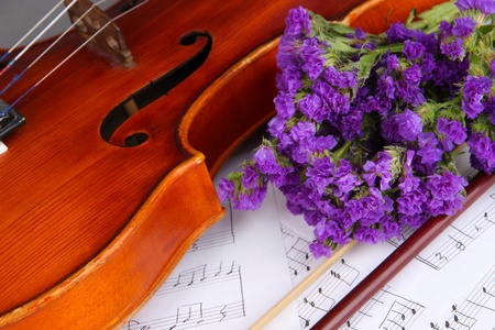 Classical violin on notesの写真素材
