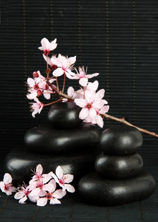 Spa stones and flowers on bamboo backgroundの写真素材