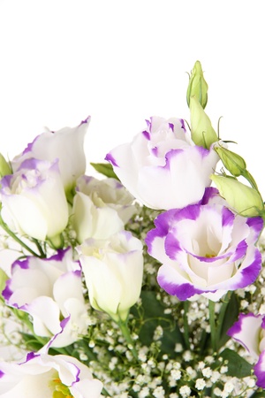 Bouquet of eustoma flowers isolated on whiteの写真素材