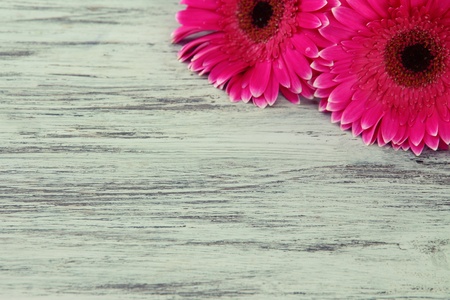 Beautiful pink gerbera flowers on wooden tableの写真素材