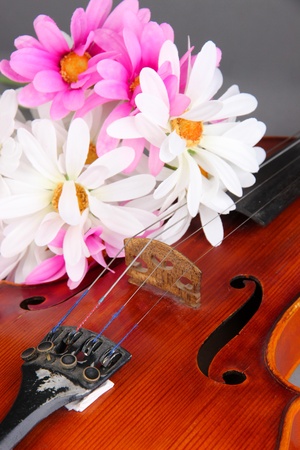 Classical violin with flower close upの写真素材