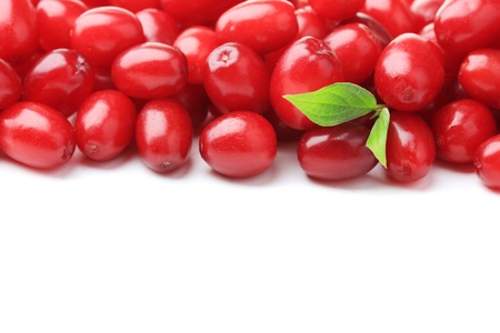 Fresh cornel berries isolated on white