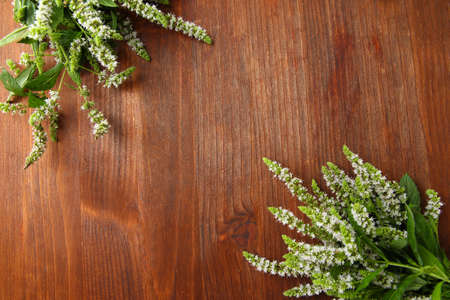 Fresh mint flowers on wooden backgroundの写真素材