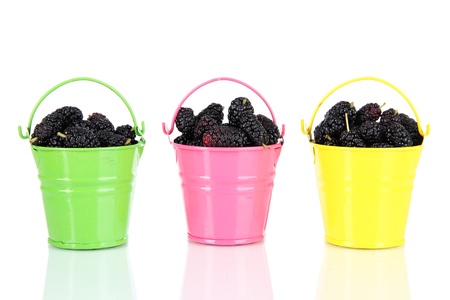 Ripe mulberries in buckets isolated on whiteの写真素材
