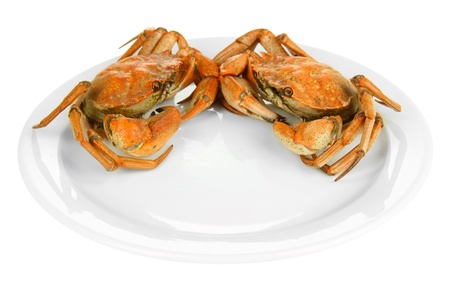 Boiled crab on white plate, isolated on whiteの写真素材