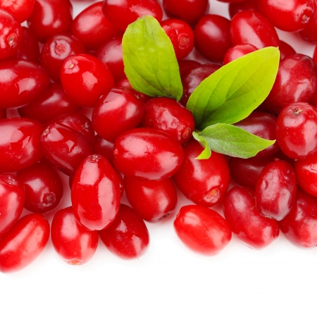 Fresh cornel berries isolated on whiteの写真素材