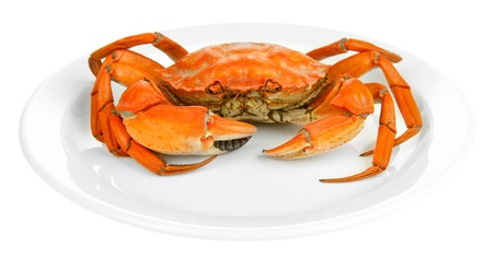 Boiled crab on white plate, isolated on whiteの写真素材
