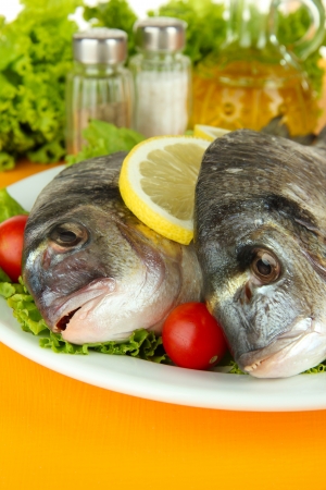 Dorado fish on table close-upの写真素材
