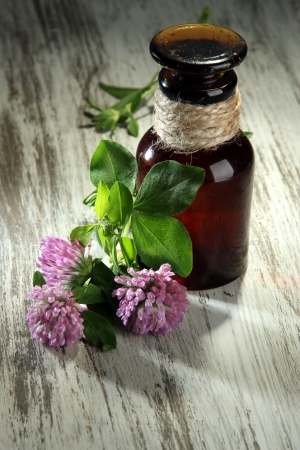 Medicine bottle with clover flowers on wooden tableの写真素材
