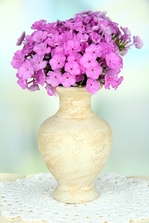 Beautiful bouquet of phlox in vase on table on light backgroundの写真素材
