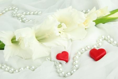 Beautiful gladiolus flower on white fabric backgroundの写真素材