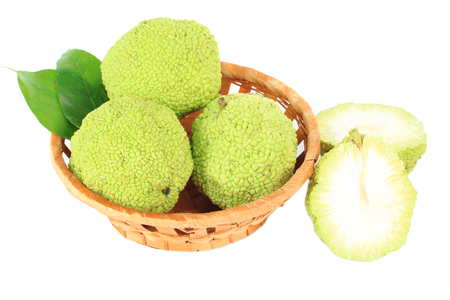 Osage Orange fruits (Maclura pomifera) in basket, isolated on white