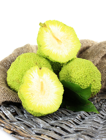 Osage Orange fruits (Maclura pomifera), isolated on white