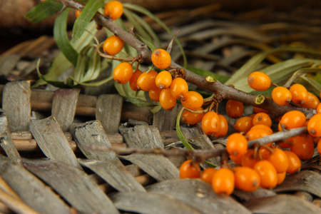 Branch of sea buckthorn with honey on wicker tray