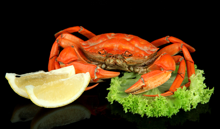 Boiled crabs isolated on blackの写真素材