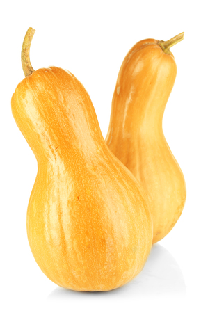 Ripe pumpkins isolated on whiteの写真素材