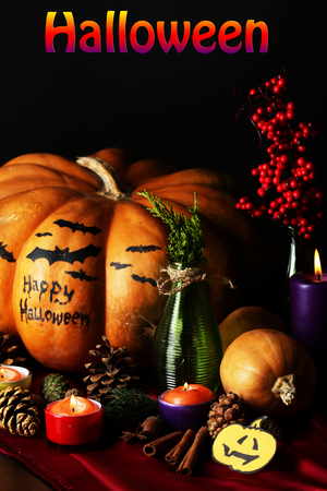 Composition for Halloween with pumpkins on dark の写真素材