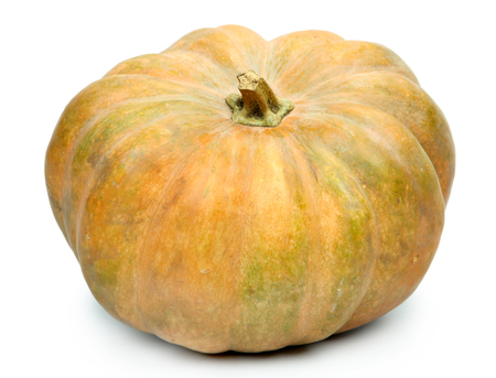 Pumpkin isolated on whiteの写真素材
