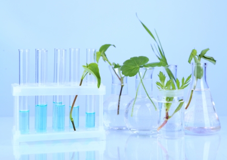 Plants in test tubes, on color backgroundの写真素材