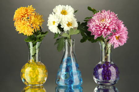 Beautiful flowers in vases with hydrogel on table on gray backgroundの写真素材