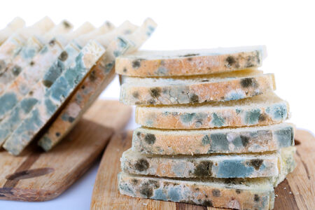 Mouldy bread on cutting board, isolated on whiteの写真素材