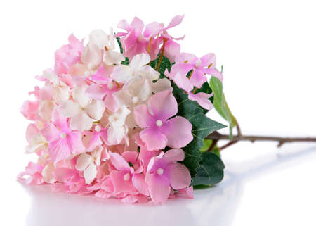 Bouquet of beautiful artificial flowers, isolated on whiteの写真素材