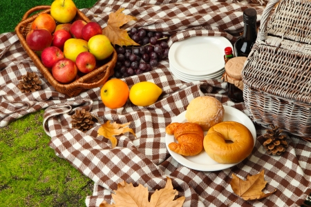 Outdoors picnic close upの写真素材