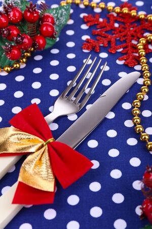 Beautiful Christmas setting close upの写真素材