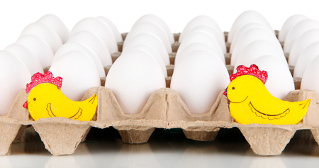 Eggs in paper tray isolated on whiteの写真素材