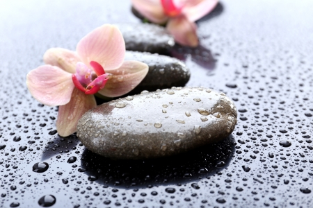 Composition with beautiful blooming orchid with water drops and spa stones, on light backgroundの写真素材