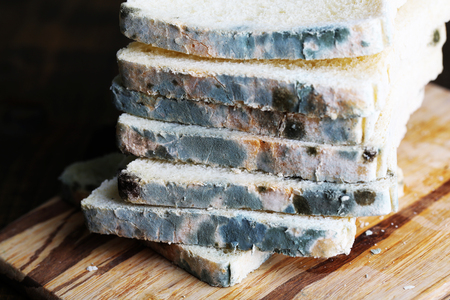 Mouldy bread on cutting board, on wooden background