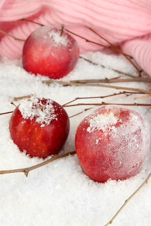 Red apples in snow close upの写真素材