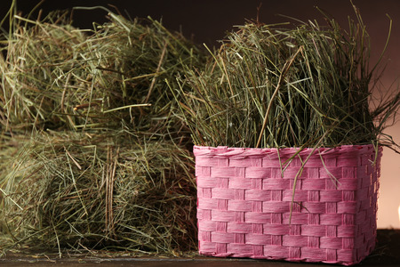 Hay in basket, on dark backgroundの写真素材