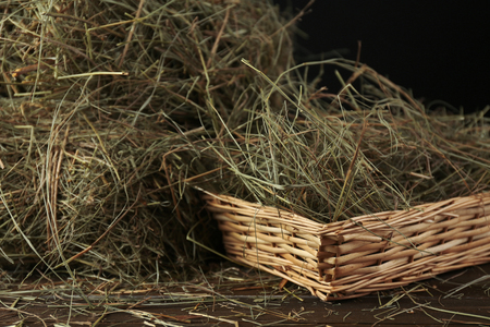 Hay in wicker basket, on dark backgroundの写真素材