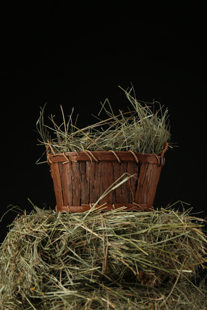 Hay in basket, on dark backgroundの写真素材