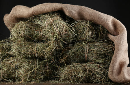 Hay, on dark background