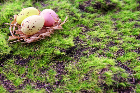 Easter eggs in nest on green grass background