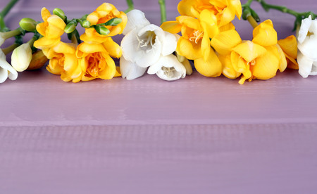 Beautiful freesias on wooden tableの写真素材