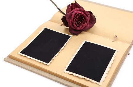 Blank old photos in album and dried flower, isolated on whiteの写真素材